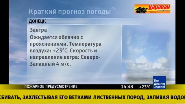 The Weather Channel - Local on the 8s - 12 мая 2019 14:40