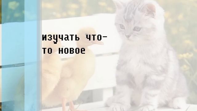 КИСА,ЛЮБИТЕ СВОИХ КИСОК, ОНИ МИЛЫЕ.......