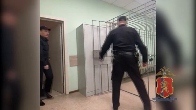Под стражу заключён водитель, который в Красноярске насмерть сбил пенсионерку и скрылся с места ДТП