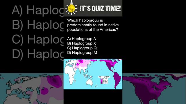 Which haplogroup is predominantly found in native populations of the Americas?