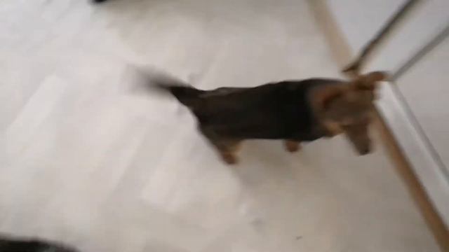 Малышня в приюте:) / Приют 