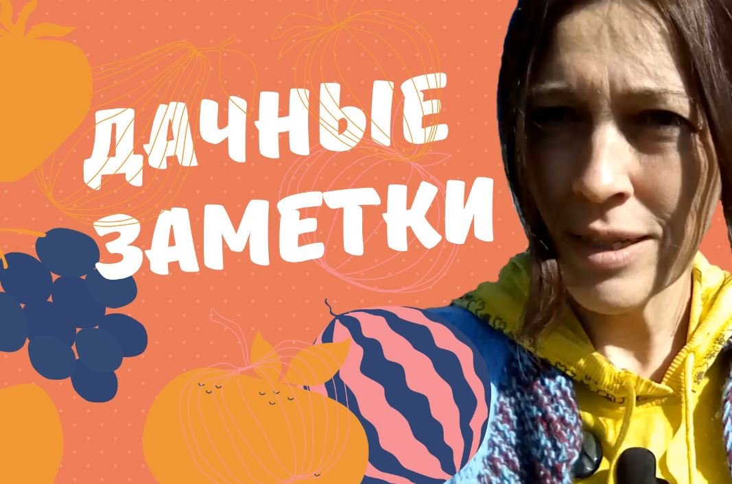 Дачные заметки