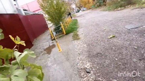 Ночка заболела!