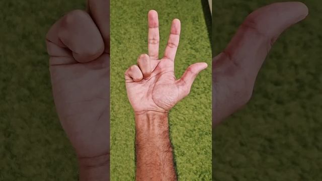 У каждого пальца на английском есть название?!