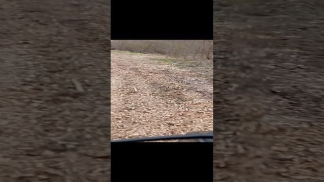 VID_20220521_130947.mp4