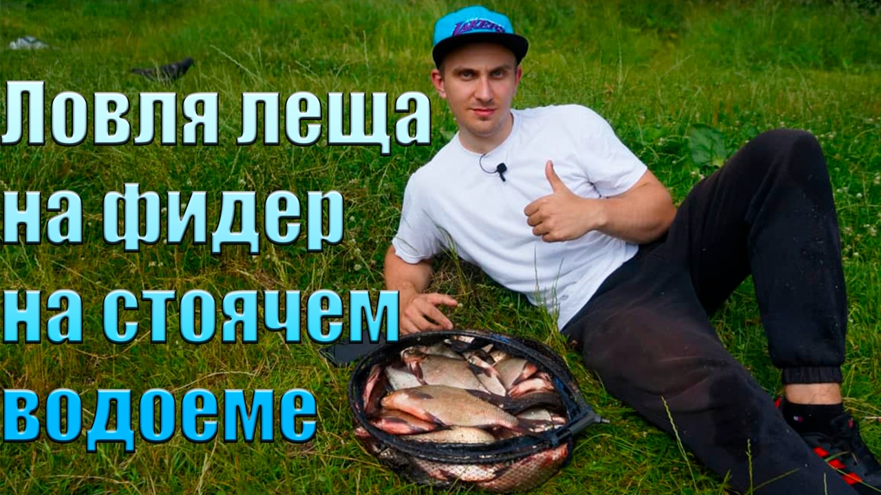 Ловля леща на фидер на стоячем водоеме