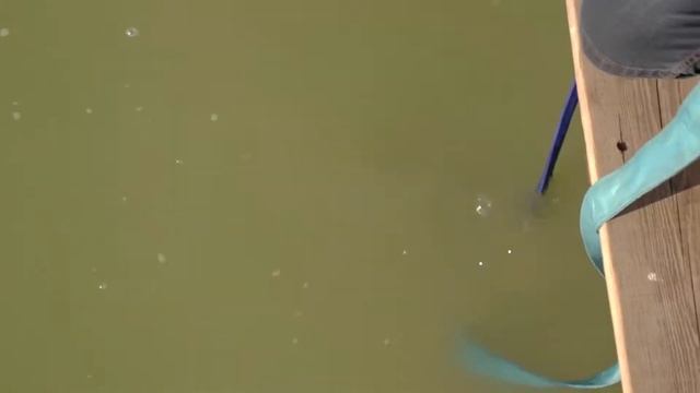 Уже скоро. Ноги в бетон и на дно, самая острая приправа. Опробовано на себе.