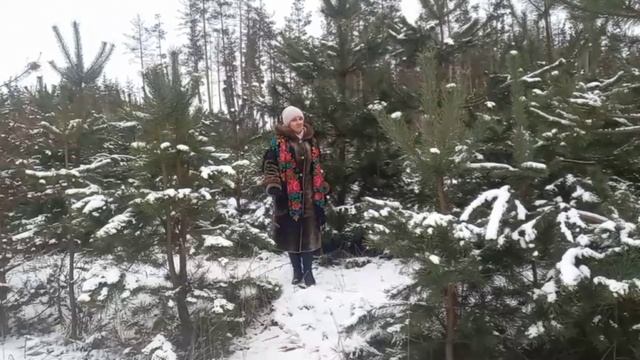 У леса на опушке