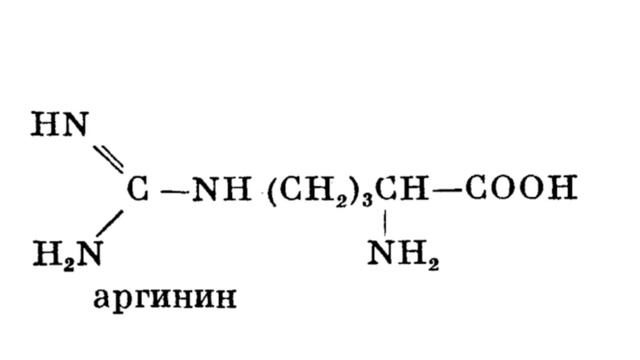 масло черного тмина. черный тмин