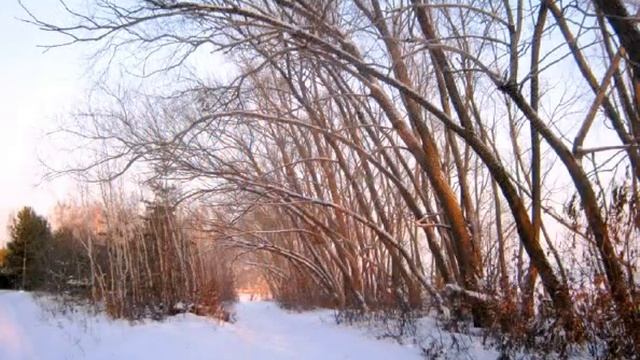 Релаксация Зима Мороз Слайд-шоу