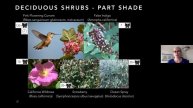 Gardening for Butterflies with Susan Karasoff, Aug 1, 2021