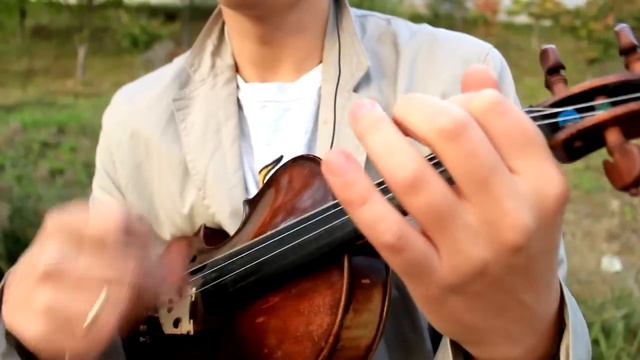 THE WITCHER 3 Hearts Of Stone - Violin Cover