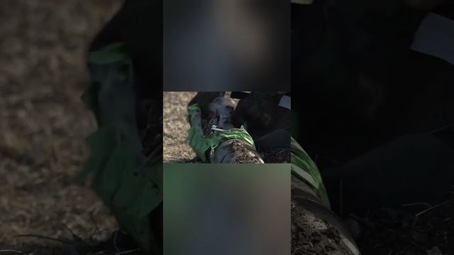 Разминирование сельхозугодий в Херсонской области / 1-1