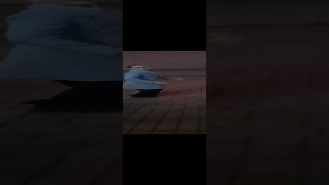 Современные танцы.mp4