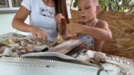 Изделие из ракушек.Музыка ветра