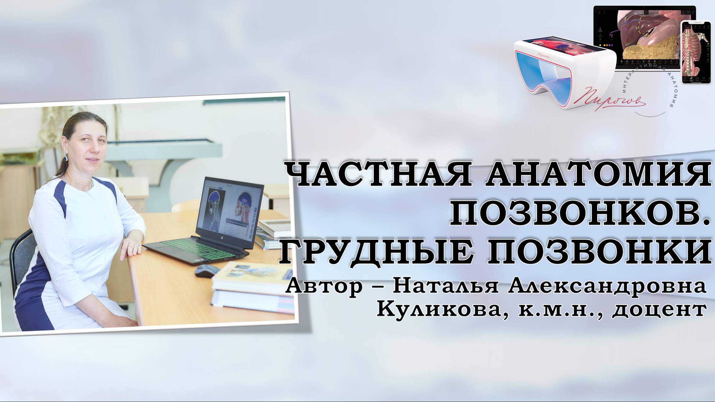 10. Частная анатомия позвонков. Грудные позвонки