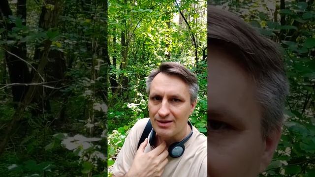 Вот почему кошке нельзя куриные шеи или сельдь