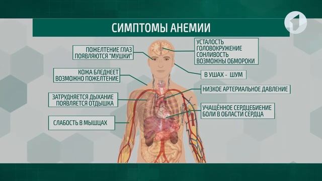 Здравствуйте  Анемия. Симптомы