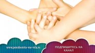 ТОЛКОВАНИЕ СНОВИДЕНИЙ - Ёжик