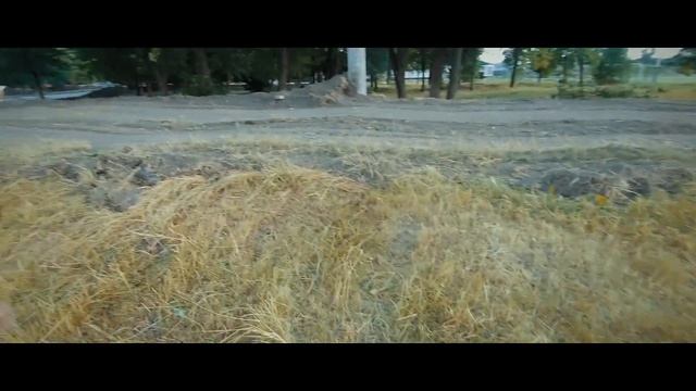Буники в Александрии