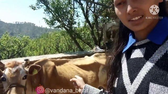 Thodi Gardening || Study Time || Vandana Bisht