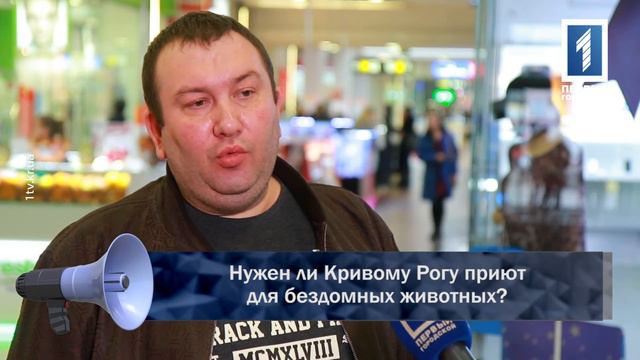 Нужен ли Кривому Рогу приют для бездомных животных?
