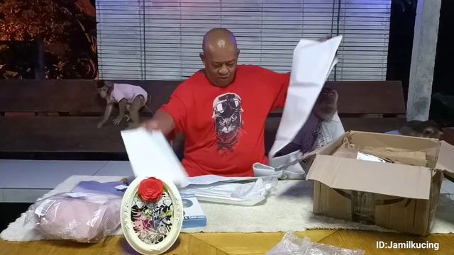 Box From Zombie Queen @Rose Geringer