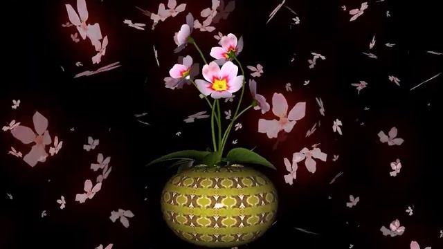 Как распускаются цветы. Великолепное видео.