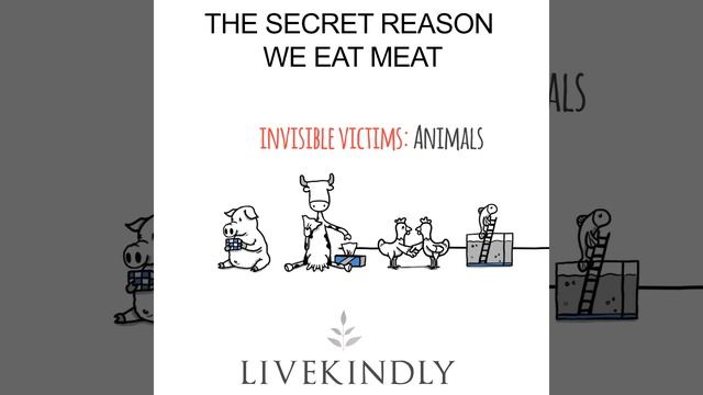 The Secret Reason We Eat Meat by Dr Melanie Joy | LIVEKINDLY