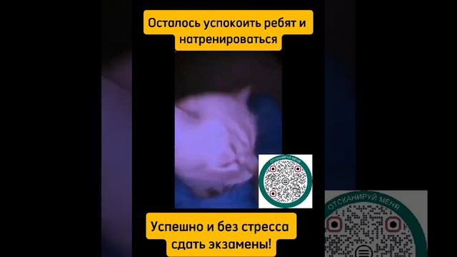 В ожидании изменений в ОГЭ и ЕГЭ (ДЕМО - 2025)