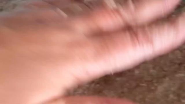 Домашние котлеты.Очень вкусные и сочные.