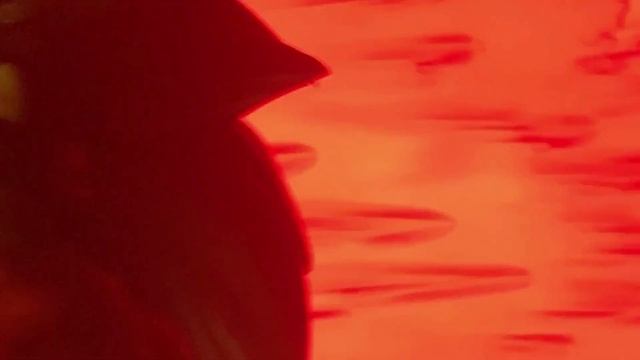 DRAGON BALL DIMENSIONS: PATH TO POWER  [EPISODE 0] (DBZ Stop-Motion)