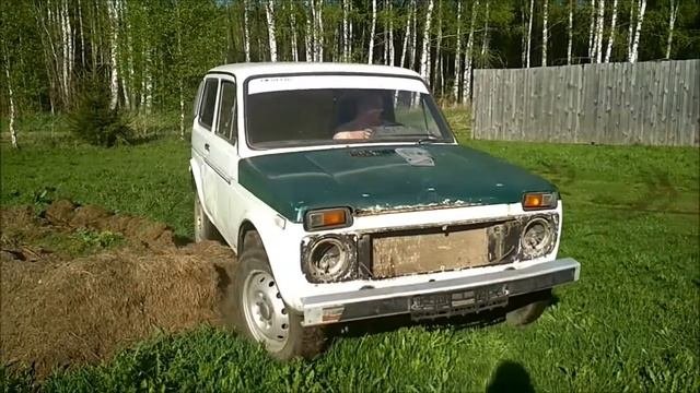 нива белая
