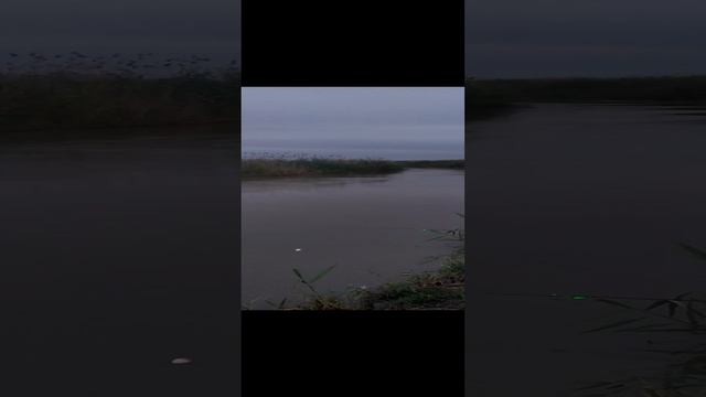 VID_20230701_041438.mp4