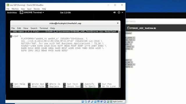 How to solve sybase license issue in SAP NPL