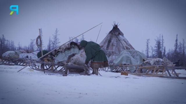Секрет долголетия: как укрепить иммунитет в 21 веке. Опыт северян