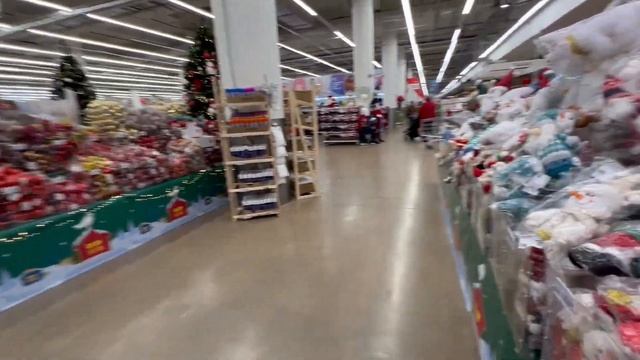 влог / а у нас первый снег / новый год в ашане / готовимся к новому году