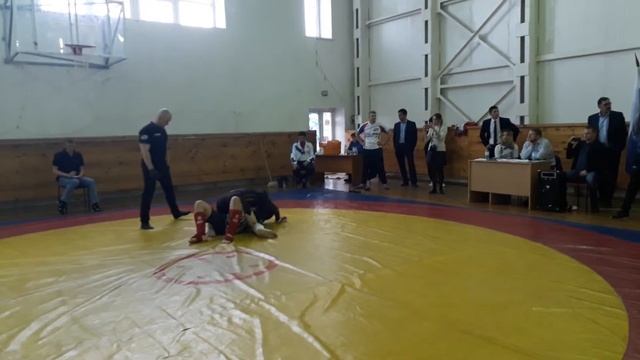 Открытый кубок главы администрации Альшеевского района РБ по смешанному боевому единоборству ( ММА)