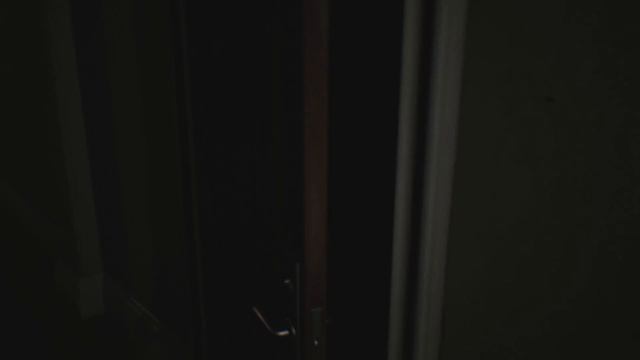 Целых 2 версии Silent Hills P.T. на PC. Офигеть.