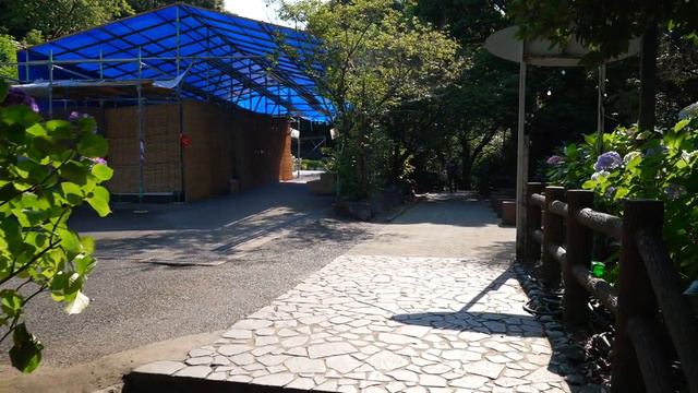 【Катахара Онсен】 Посетите деревню Гортензий - JAPAN in 4K
