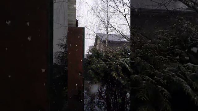 29 февраля дар масква одинцовский