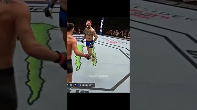 lv_0_20231103142559.mp4