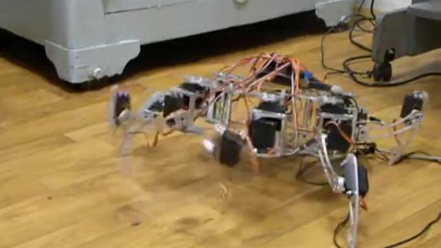 Дипломная работа. Робот Hexapod Momo.AVI