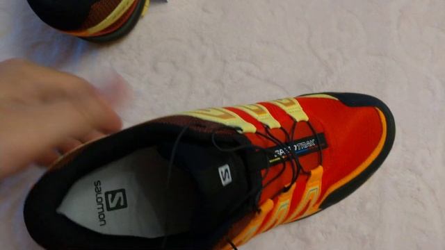 Обзор трэйловых кроссовок Salomon Speedtrak
