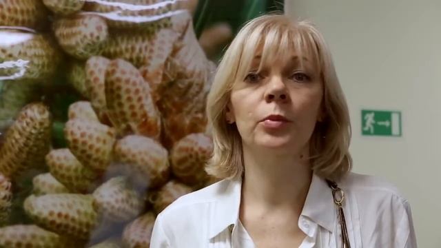 Новая Эра   сосновая пыльца и бамбук