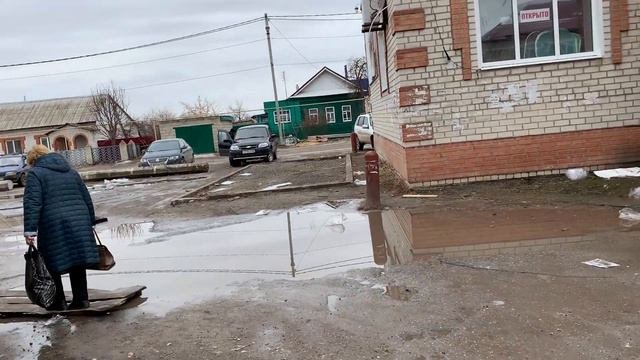 Шигоны