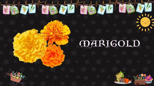 Discover The Wonderful World Of Flower Names 🌸 | 🌼 Fun & Educational For Kids 💐🌻!