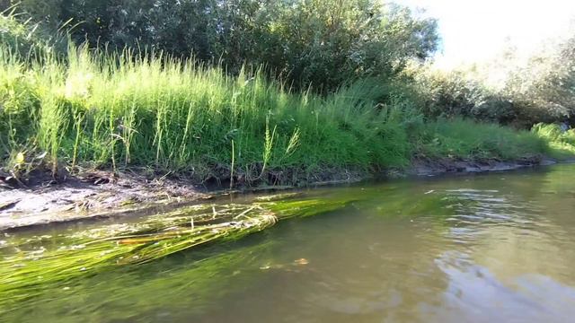 Там, где впадает речка Сынтулка в Оку, Касимов