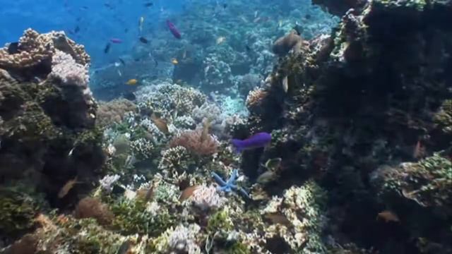 Подборка на морскую тему под красивую мелодию.