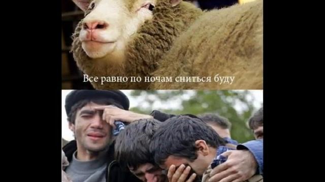 Баран Т- Удаляй меня отовсюду